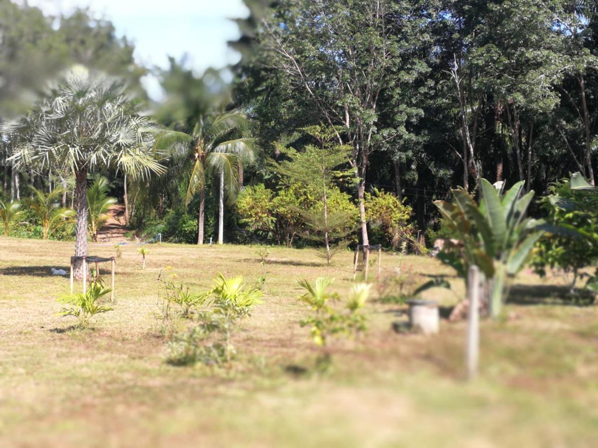 Ko LantaPalm Garden Houseアパートメント エクステリア 写真