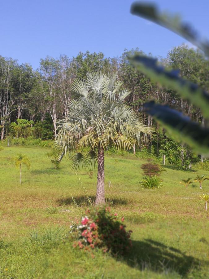 Ko LantaPalm Garden Houseアパートメント エクステリア 写真