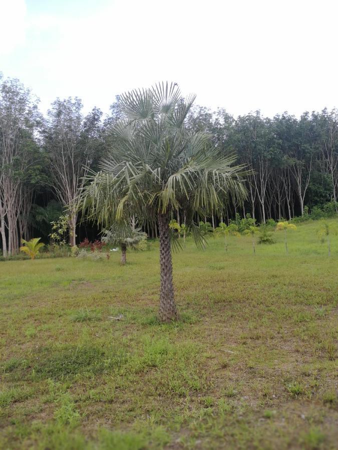 Ko LantaPalm Garden Houseアパートメント エクステリア 写真