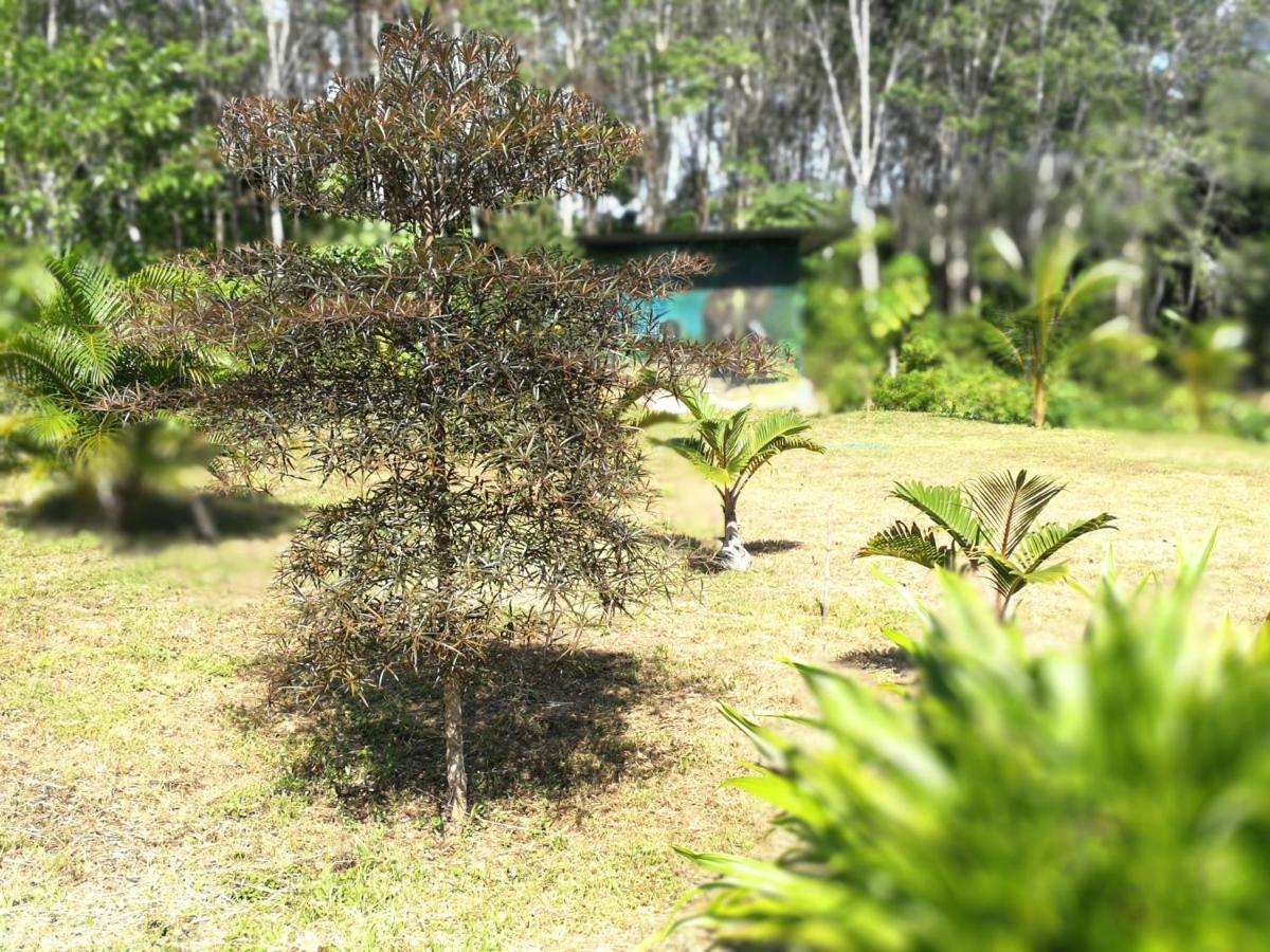 Ko LantaPalm Garden Houseアパートメント エクステリア 写真