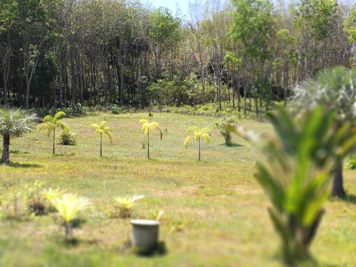 Ko LantaPalm Garden Houseアパートメント エクステリア 写真