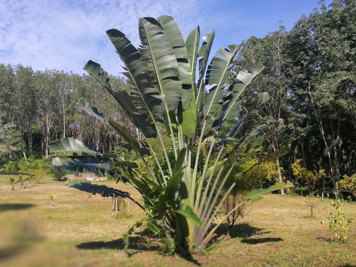 Ko LantaPalm Garden Houseアパートメント エクステリア 写真